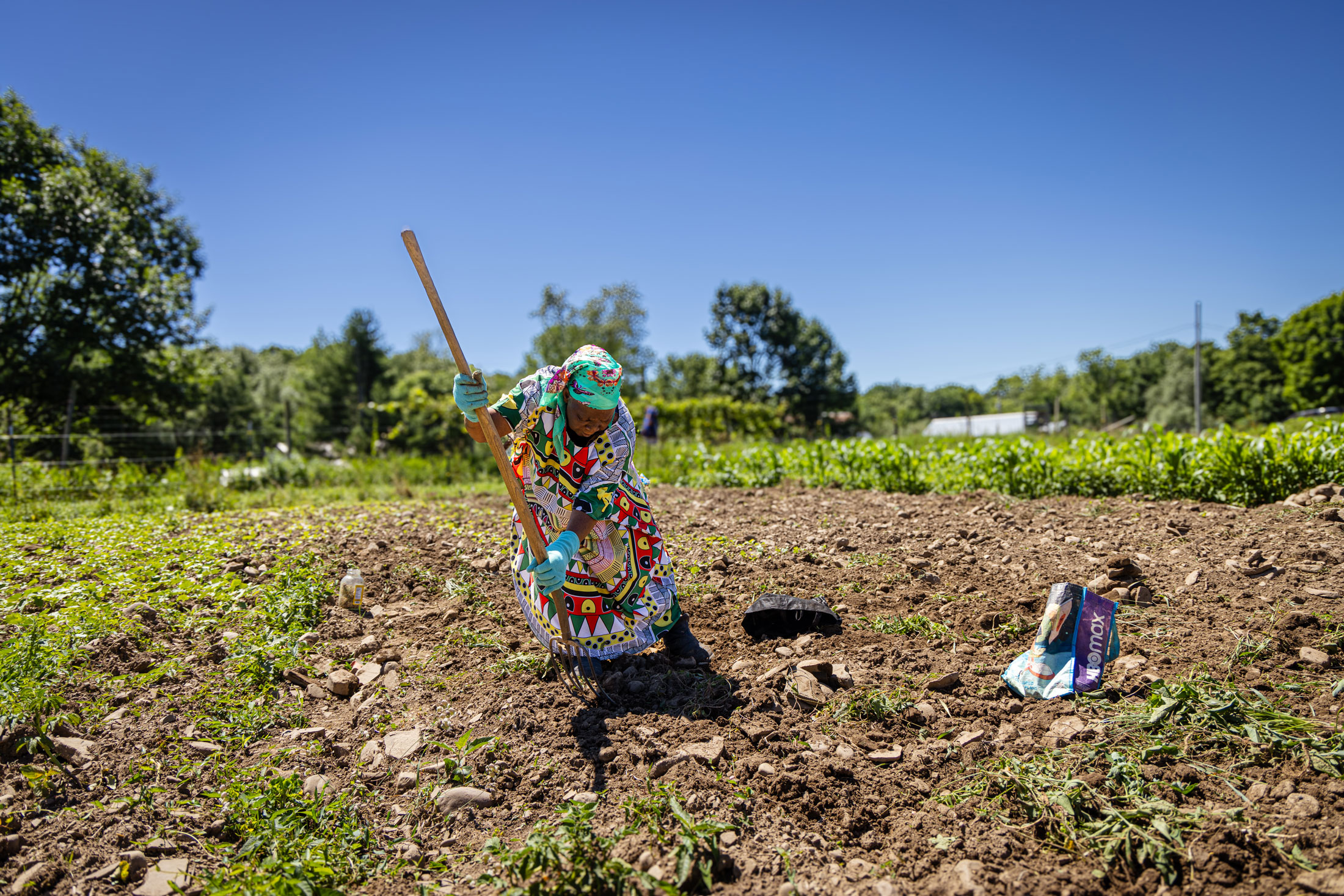 Woman tending to soil in a crop field