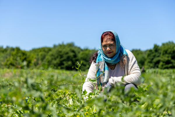 Transform Rural Health Video Projects RISE 062824 001 245 600x400 - In Focus: The Stories of Three Grantee-Partners Working to Transform Rural Health